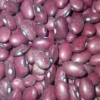 لوبیا قرمز  بسته بندی 500 گرمی شالیزارصادق 