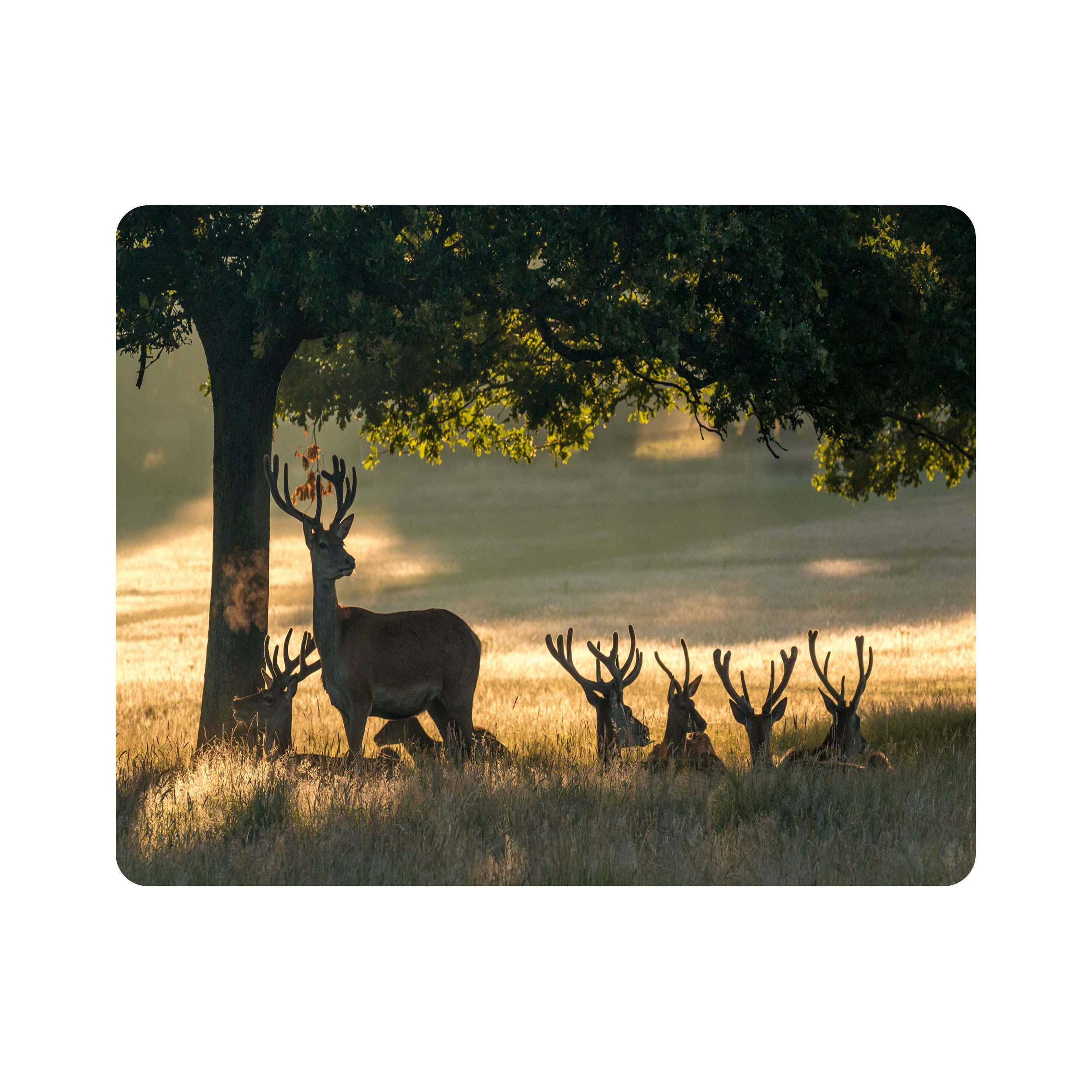 ماوس پد طرح گوزن مدل T8084