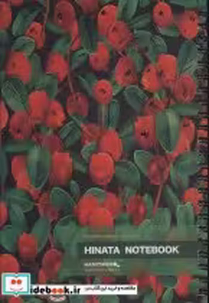 کتاب دفتر یادداشت خط دار HINATA NOTEBOOK نشر همیشه قطع رقعی | ایده بوک