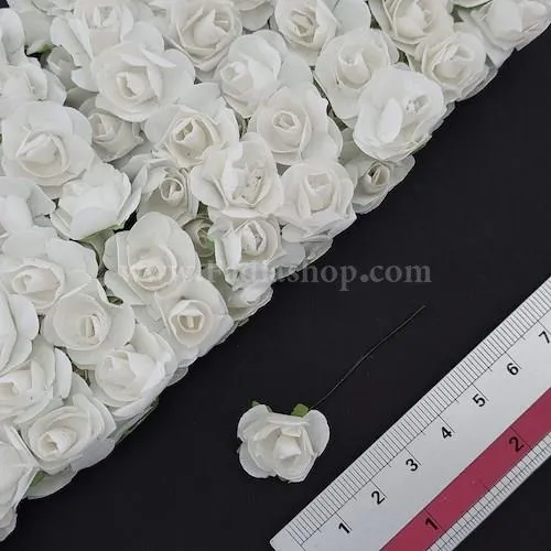 گل رز متوسط سفید