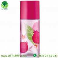 عطر ادکلن الیزابت آردن گرین تی پامگرنت 100 میل زنانه