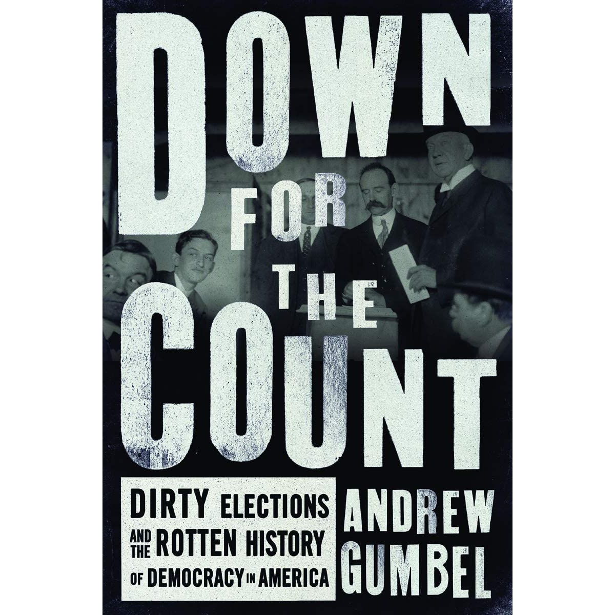 کتاب Down for the Count اثر Andrew Gumbel انتشارات The New Press