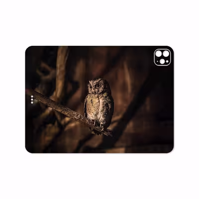 برچسب پوششی ماهوت مدل Owl مناسب برای تبلت اپل iPad Pro 11 (GEN 2) 2020 A2231