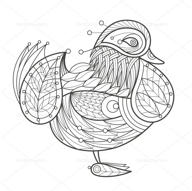 وکتور نقاشی مرغ | گرافیک با طعم تربچه