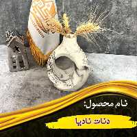 دنات نادیا