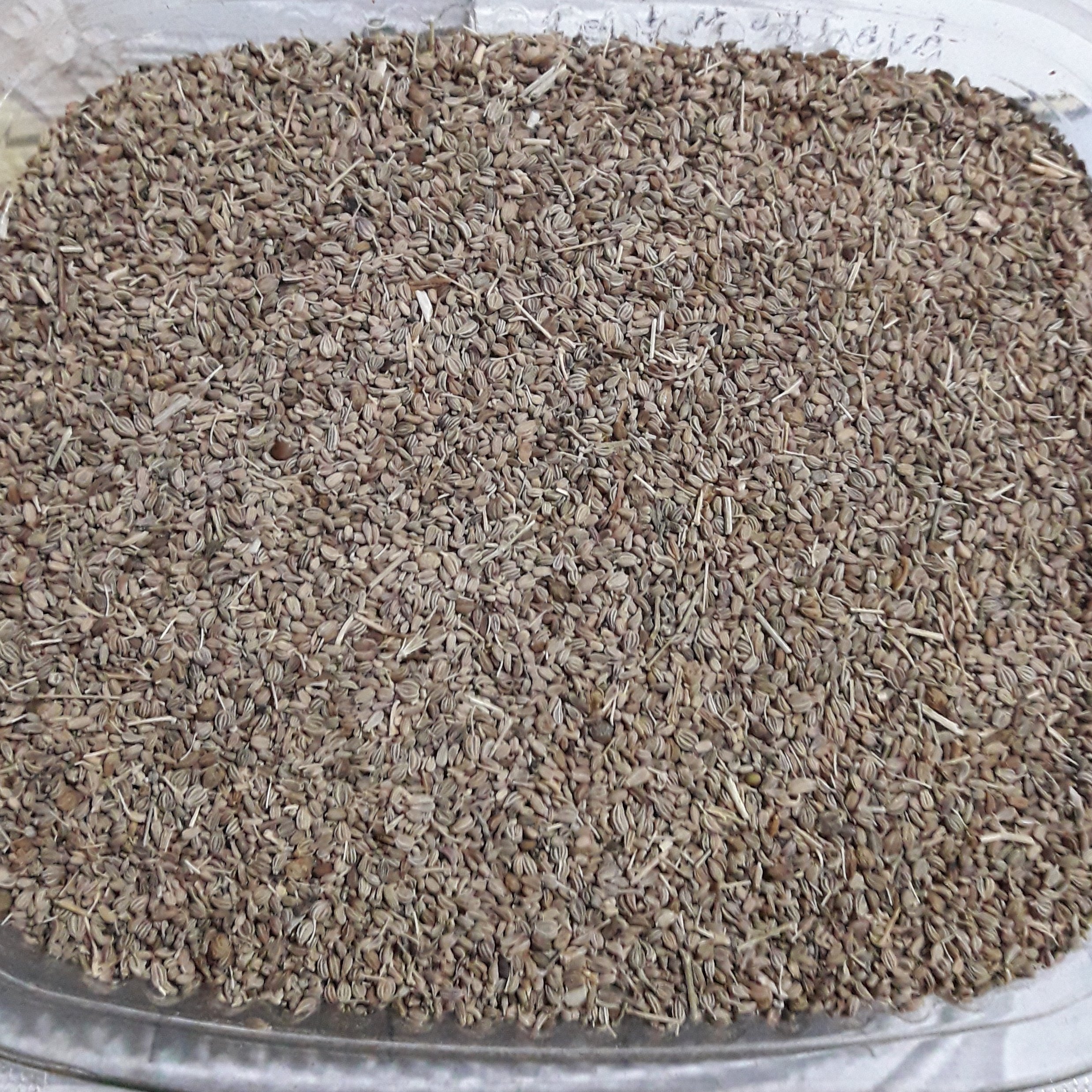 زنیان( اجغو) 100گرمی