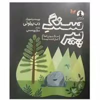 کتاب سنگ پیر اثر دب پیلوتی انتشارات مولف