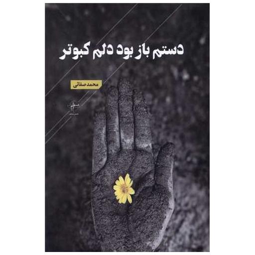 کتاب دستم باز بود دلم کبوتر اثر محمدهادی صفایی