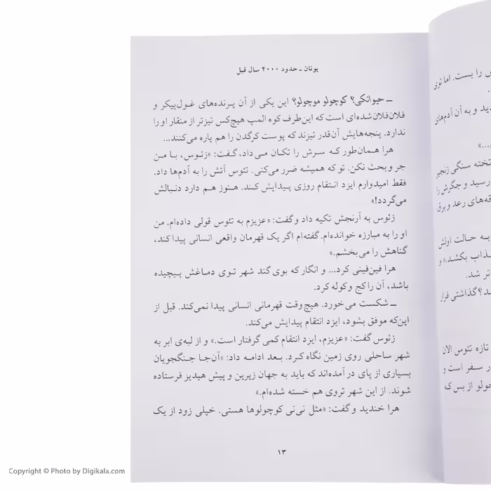 کتاب آتش دزد 2 اثر تری دیری