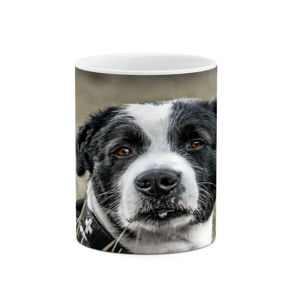 ماگ کاکتی طرح سگ مدل mgs16775