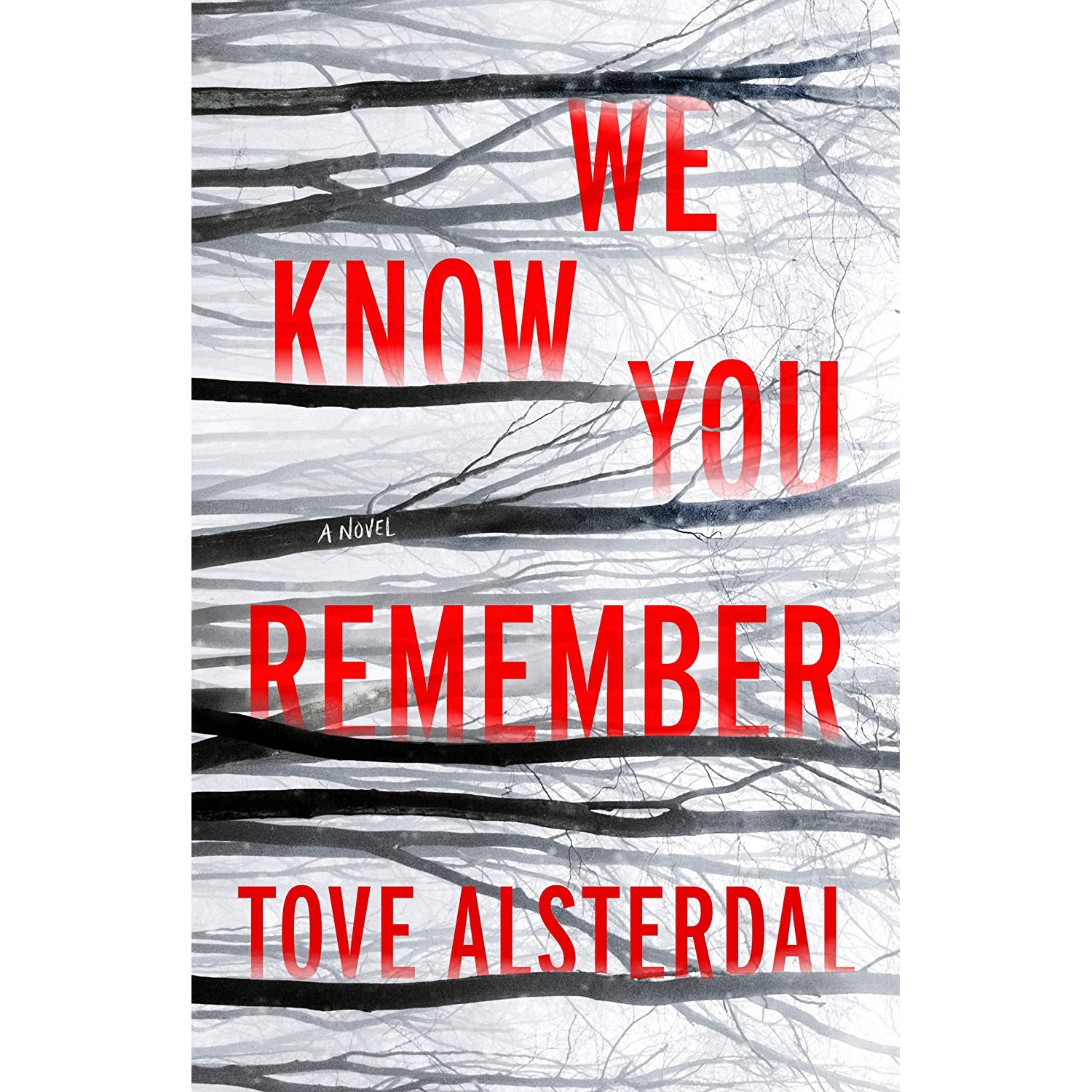 کتاب We Know You Remember: A Novel (The High Coast Series, 1) اثر Tove Alsterdal انتشارات Harper