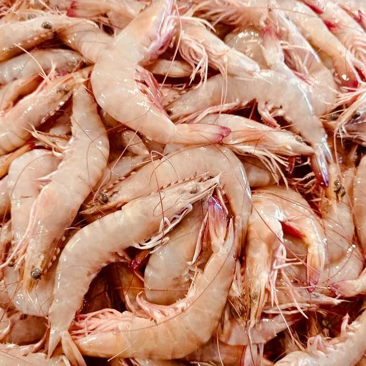 میگو  درشت سایز 30تا40صید روز و تازه لیان بوشهر لطفا یونلیت را در سبد خریدتان بذارین