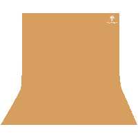 فون عکاسی نسکافه ای