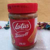 کرم بیسکوئیت لوتوس اسپرد(400گرم)