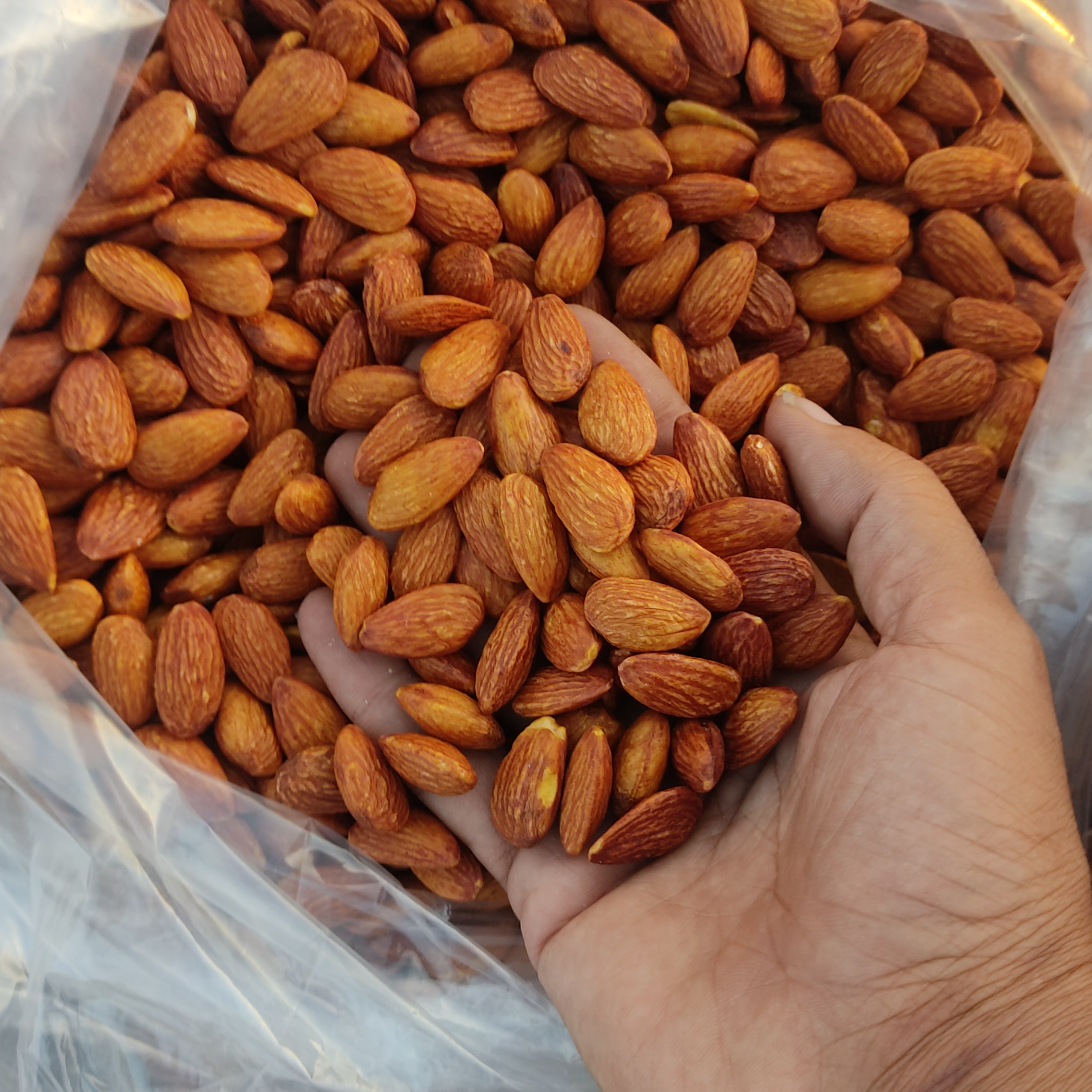 بادام درختی شور اعلا دانه درشت تازه یک کیلویی