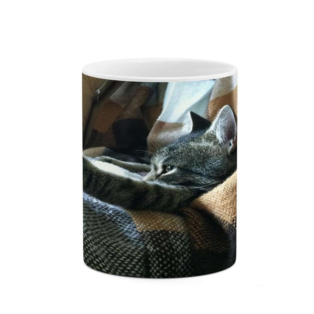 ماگ کاکتی طرح گربه مدل mgs16754