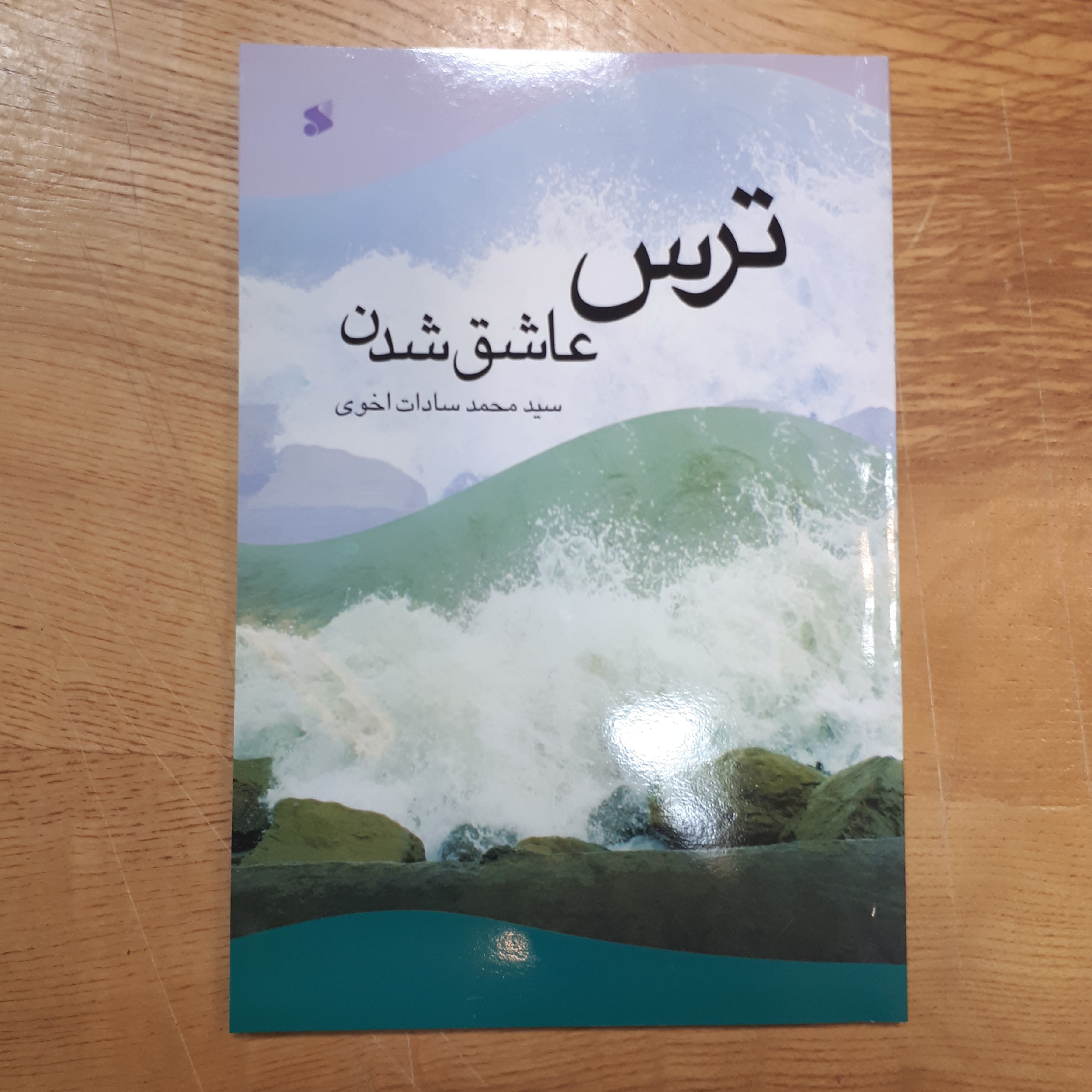 کتاب ترس عاشق شدن اثر سید محمد سادات اخوی