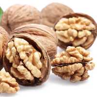 گردو خشک قزاآن ... گردو باپوست...گردو مغز سفید...محلی قزاآن...تازه ...امسالی... بسیار چرب