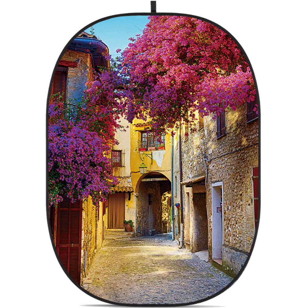 فون پرتابل خیابان گودکس Godox CBA-CS0001 2x1.5mm