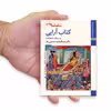 کتاب شاهنامه ها کتاب آرایی به سبک شاهنامه اثر عبدالمجید حسینی راد نشر زرین و سیمین