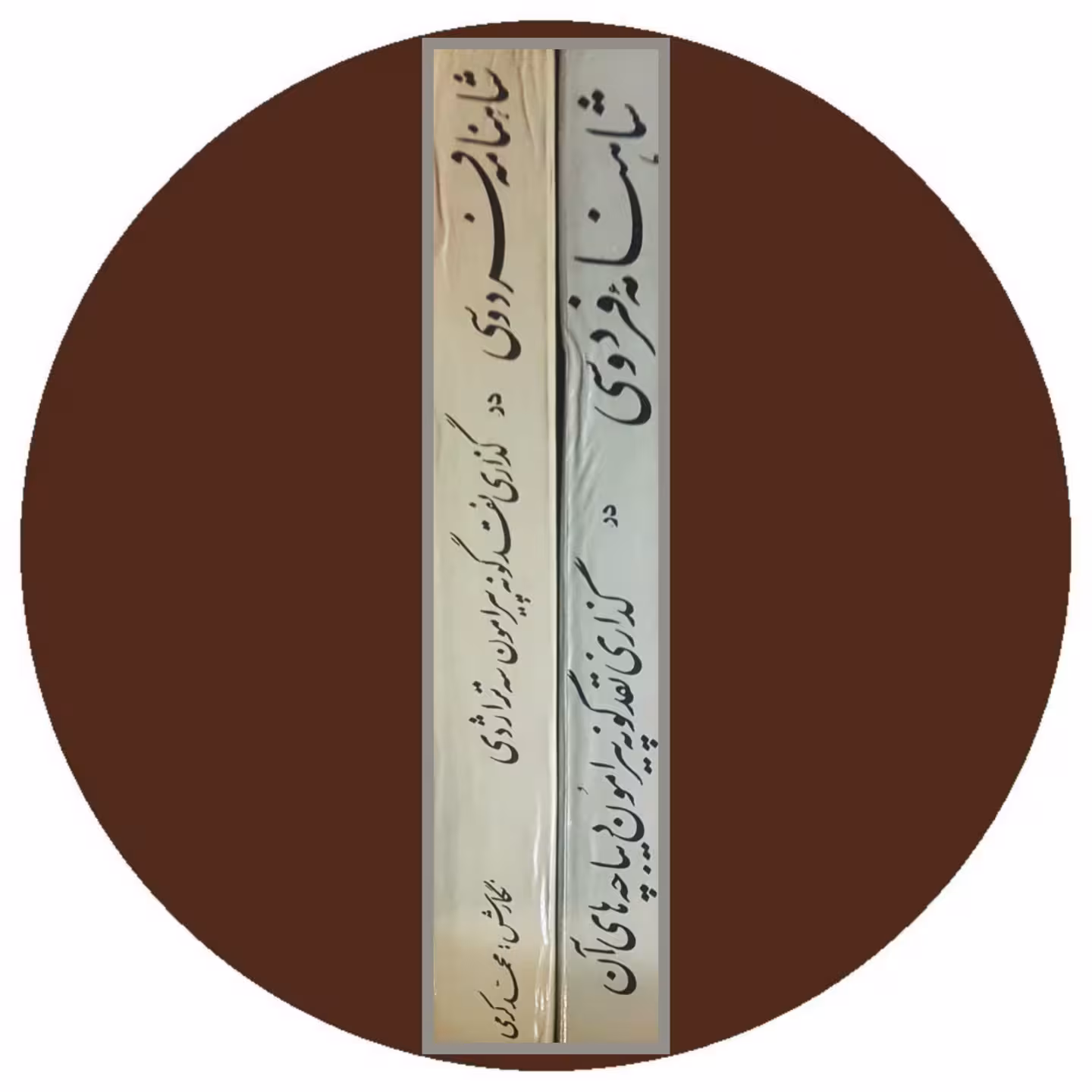 کتاب حماسه حماسه ها (دو جلد) - خرید با تخفیف چهل درصد ازکتاب دایره قهوه ای