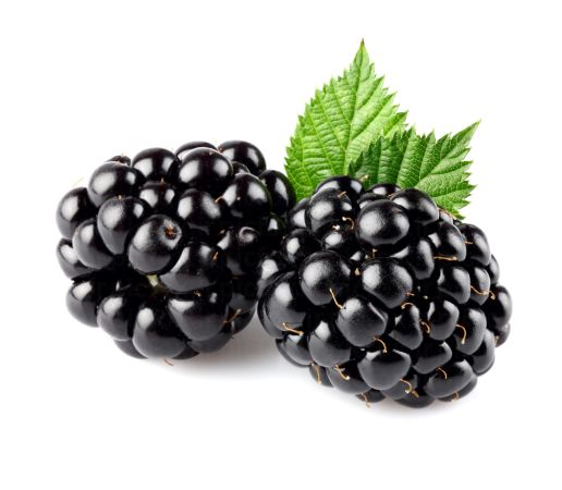 خرید و دانلود عکس Food-Part-17 کد 19366 | پیک فاکس | Pic Fox