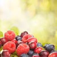 خرید و دانلود عکس Food-Part-17 کد 19369 | پیک فاکس | Pic Fox