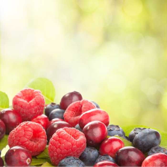 خرید و دانلود عکس Food-Part-17 کد 19369 | پیک فاکس | Pic Fox