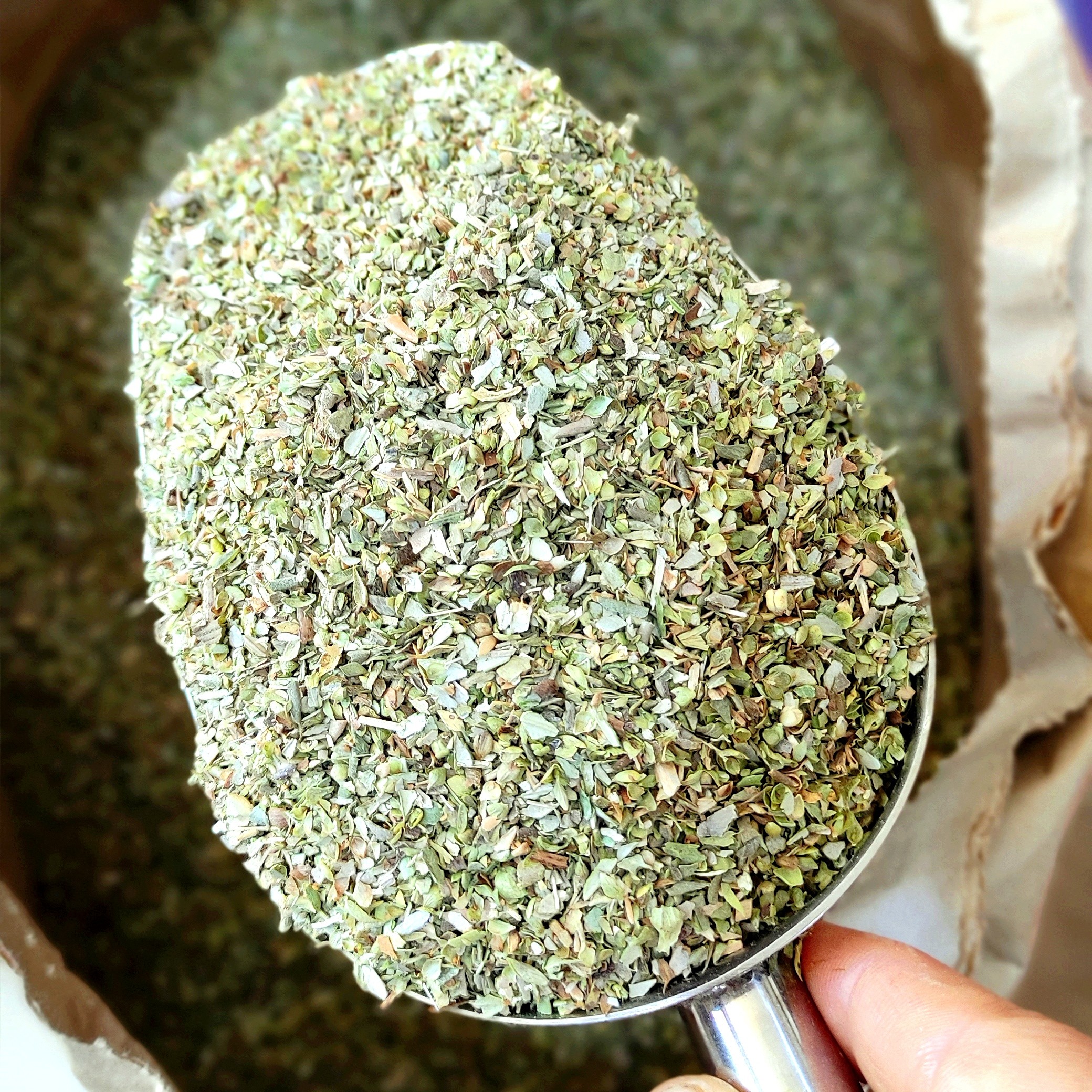 برگ اورگانو مدیترانه ای نیم کوب(50 گرم) سوغات دزفول 