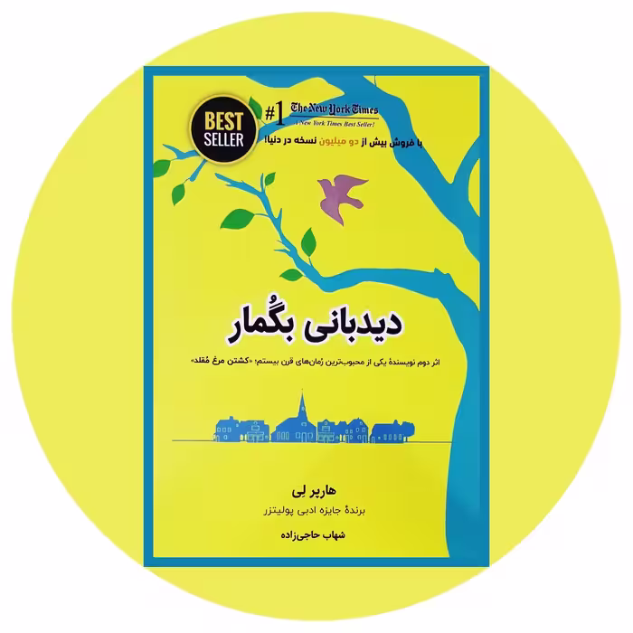 کتاب دیدبانی بگمار - خرید با تخفیف چهل درصد ازکتاب دایره قهوه ای -