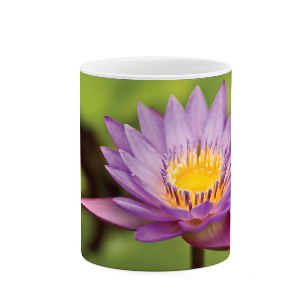 ماگ طرح گل مدل mgs05460