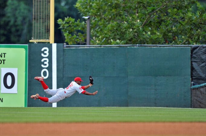 خرید و دانلود عکس Baseball or Softball کد 6199 | پیک فاکس | Pic Fox