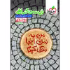 کتاب موضوعی زیست گیاهی اثر اشکان زرندی انتشارات خیلی سبز