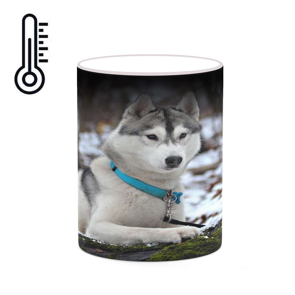 ماگ حرارتی کاکتی طرح سگ مدل mgh19240