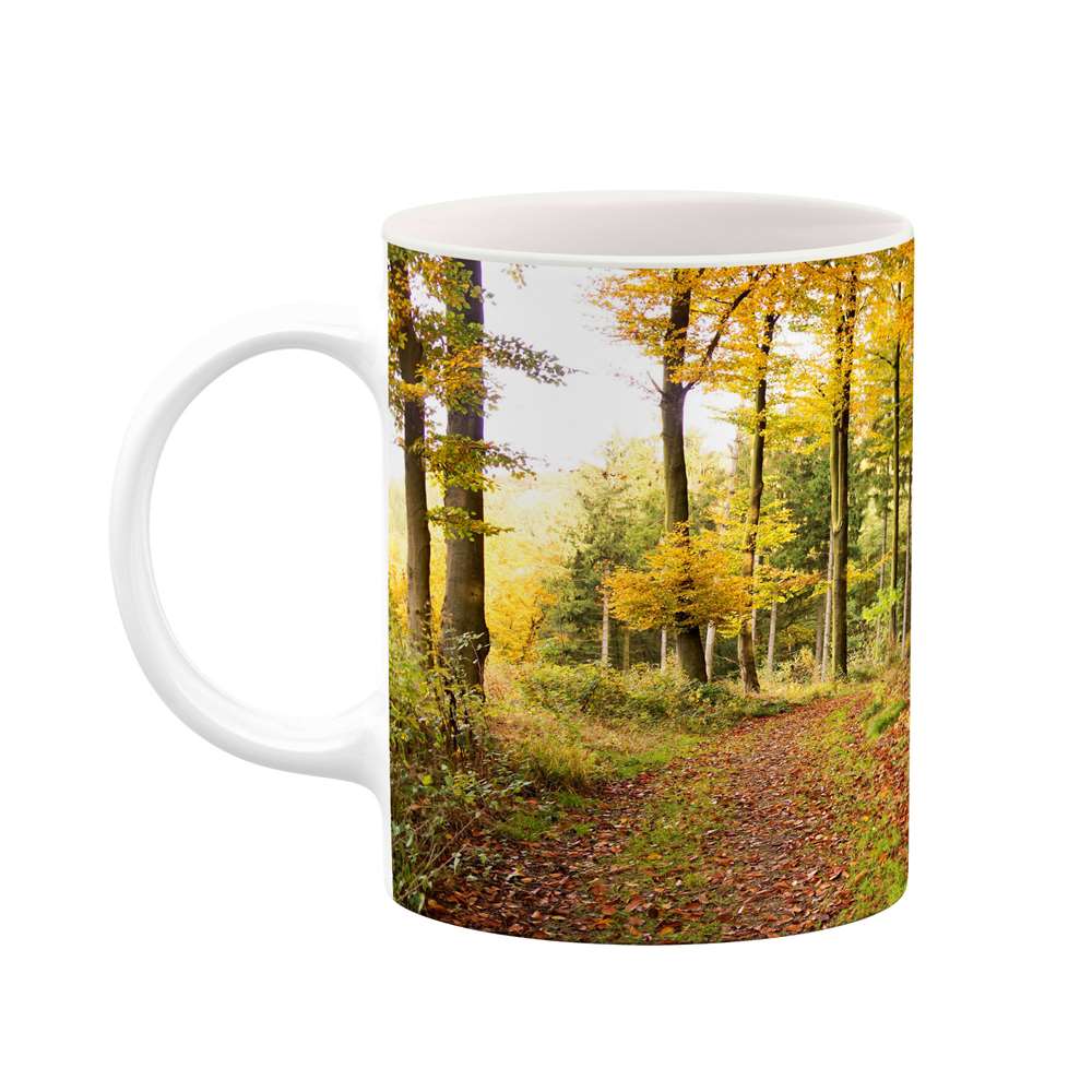 ماگ کاکتی طرح منظره مدل mgs13223