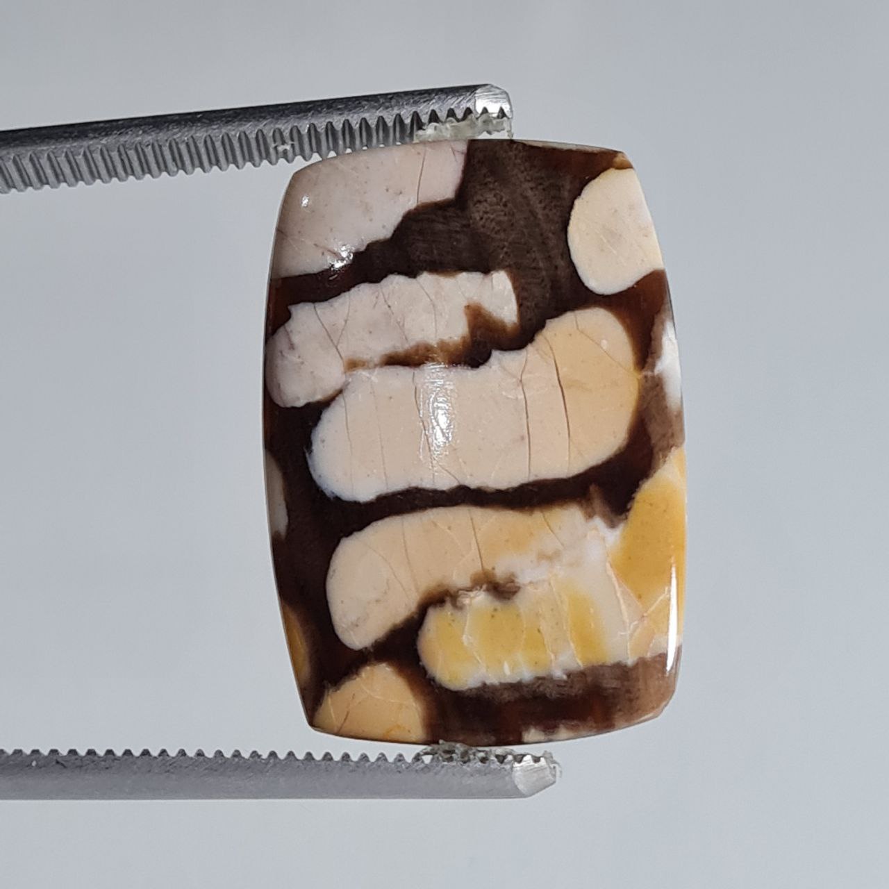 نگین قیمتی پینوت وود جاسپر اصل 5096