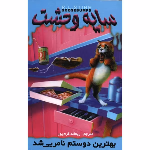 کتاب بهترین دوستم نامریی شد اثر آر. ال. استاین