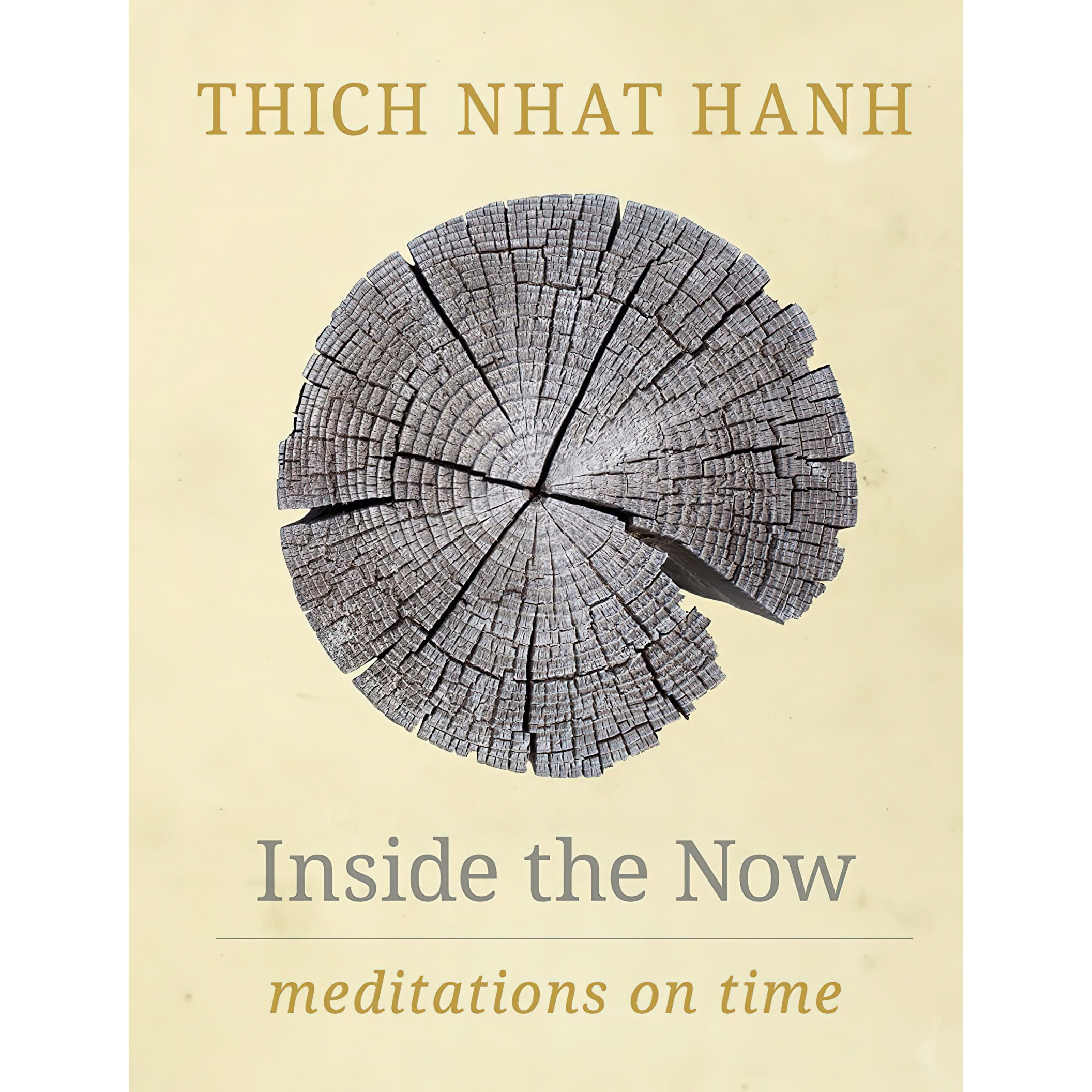کتاب Inside the Now اثر Thich Nhat Hanh انتشارات Parallax Press