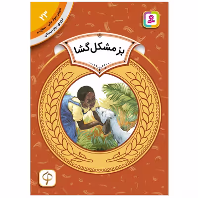 کتاب آموزش سواد مالی سطح دو بز مشکل گشا اثرپیچ مک برایر انتشارات قدیانی