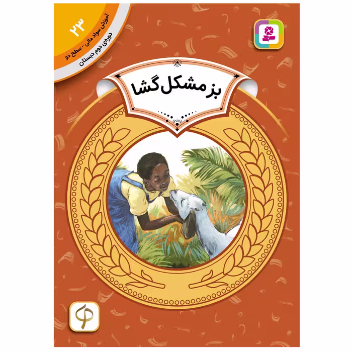 کتاب آموزش سواد مالی سطح دو بز مشکل گشا اثرپیچ مک برایر انتشارات قدیانی