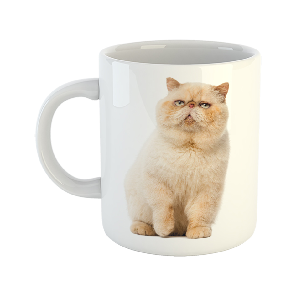 ماگ طرح گربه مدل persian cat کد 04
