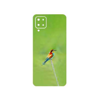 برچسب پوششی ماهوت مدل European bee-eater مناسب برای گوشی موبایل سامسونگ Galaxy F12