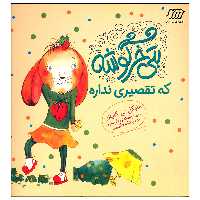 کتاب بتی خرگوشه که تقصیری نداره اثر مایکل بی کاپلان انتشارات فنی ایران