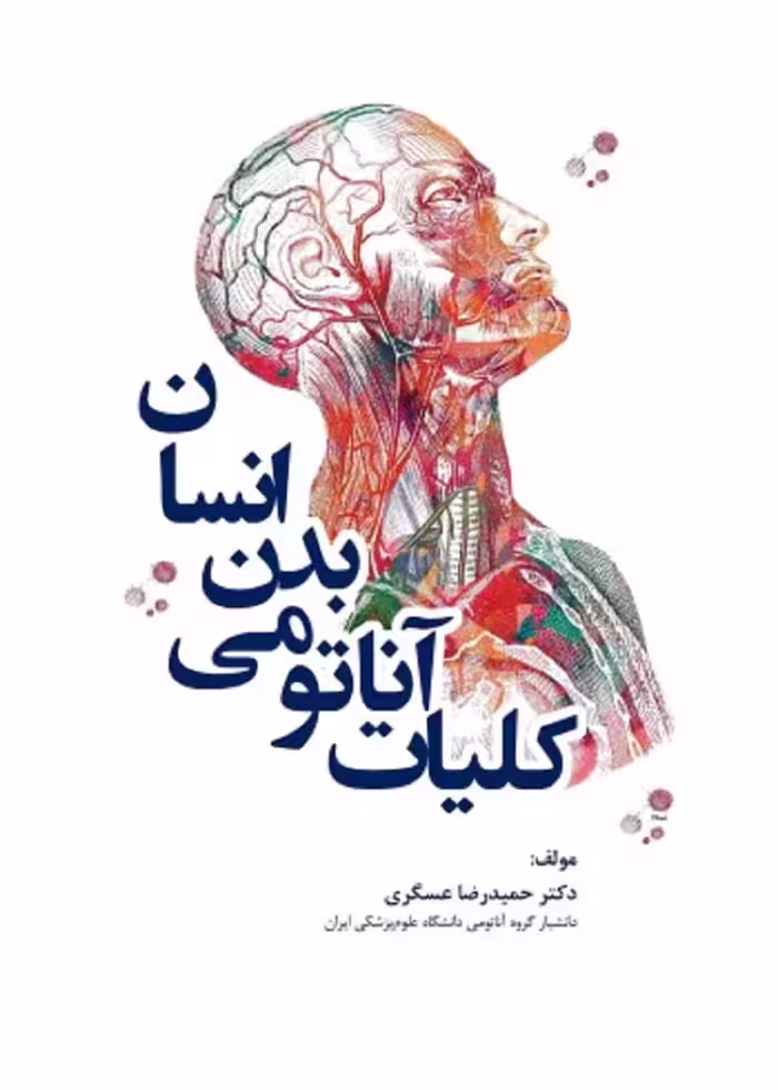 کلیات آناتومی بدن انسان