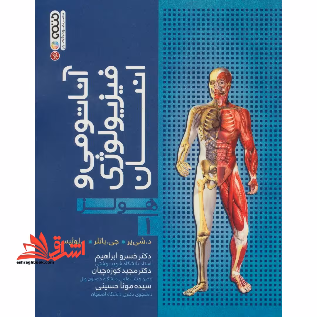 آناتومی و فیزیولوژی انسانی هولز جلد 1 اول مصور تمام رنگی - فروشگاه کتاب اشراق