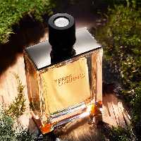 عطر تق هرمس
