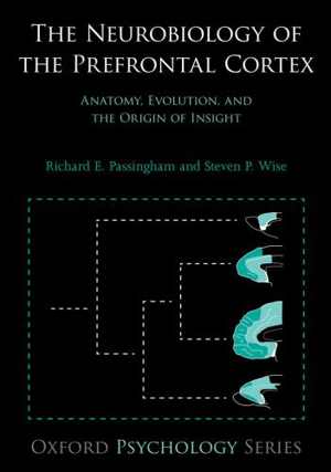 [EPUB] دانلود کتاب The Neurobiology Of The Prefrontal Cortex - Anatomy, Evolution, And The Origin Of Insight, 2014;2012