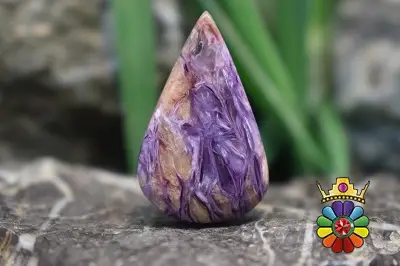 چاروئیت (بنفشان)