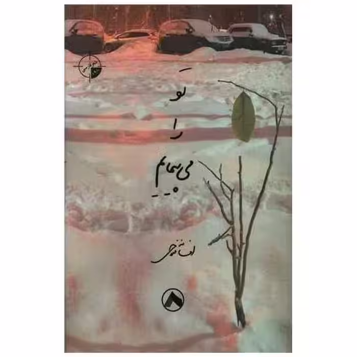 کتاب تو را می پیمایم اثر افسانه فلاحی