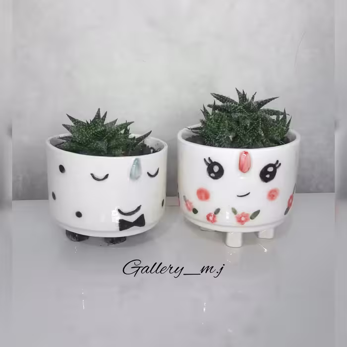 گلدون برای کاکتوس کاملادست سازقیمت جفت هست نه تکی